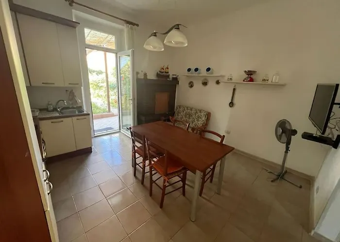 Tina Centro * بيزارو